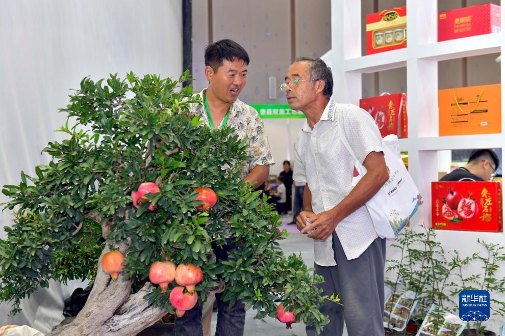 捕鱼游戏赚钱知乎